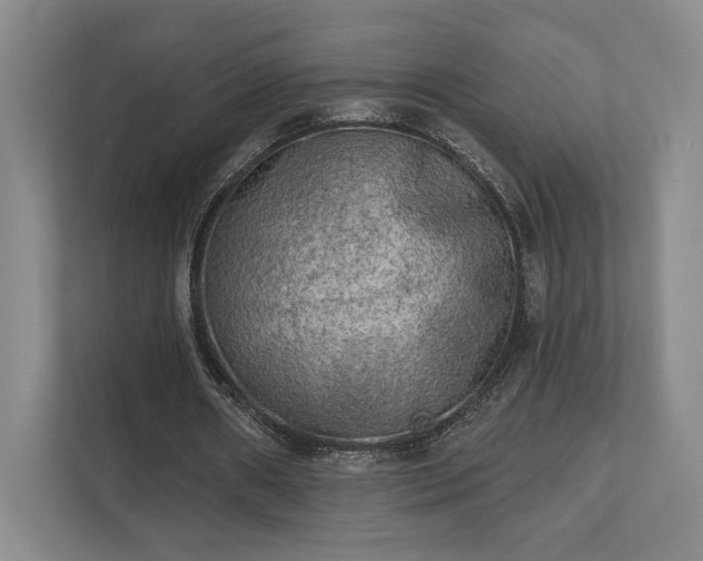 X0000111480482200907210952