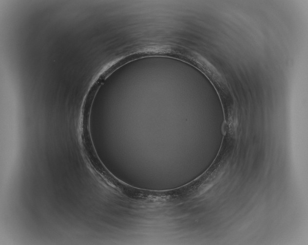 X0000111480484200907210952