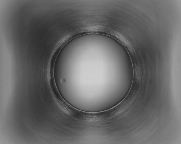 X0000111480486200907210952