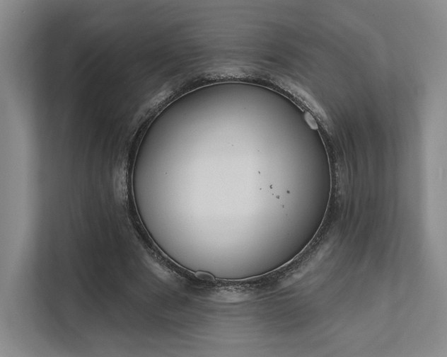 X0000111480489200907210952