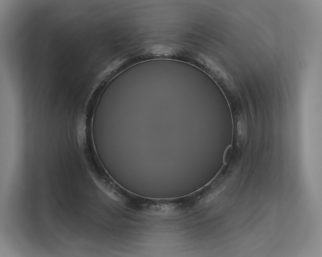 X0000111480492200907210951