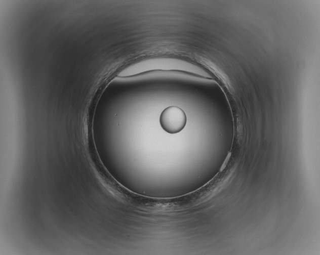 X0000111480493200907210951