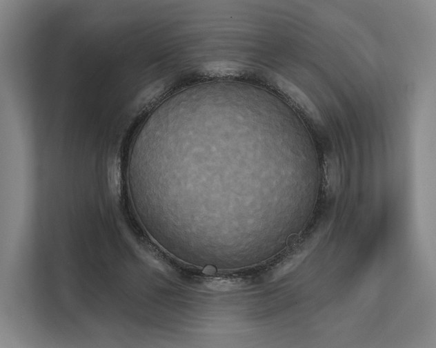 X0000111480494200907210951