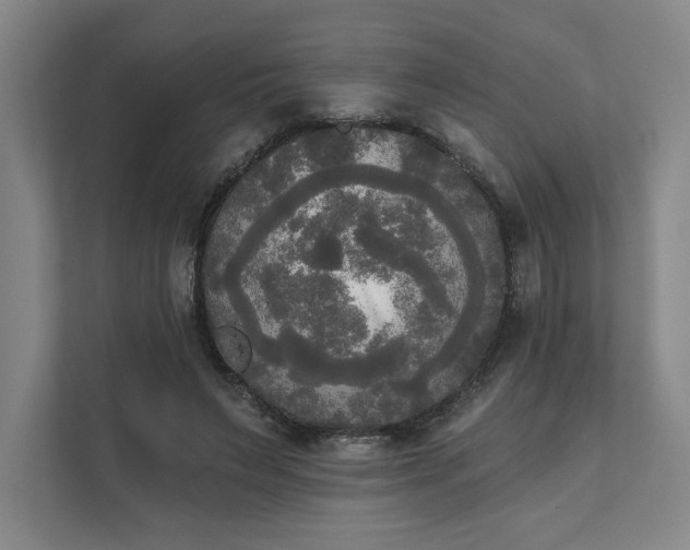 X0000111480495200907210951