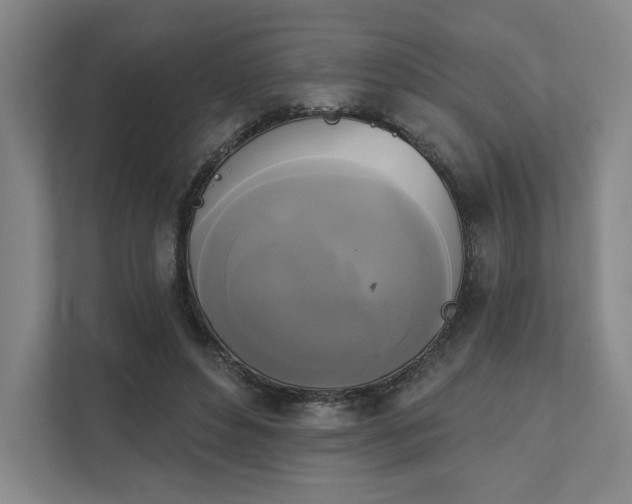 X0000111480496200907210951