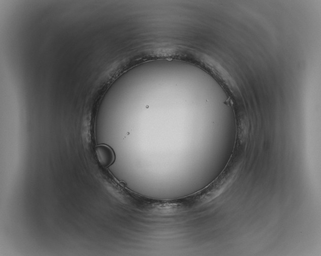 X0000111480497200907210951