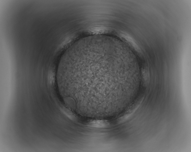 X0000111480499200907210951