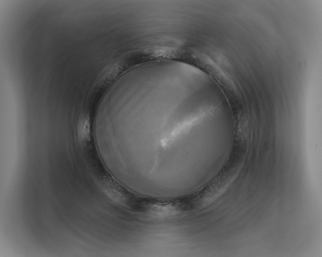 X0000111480502200907210951