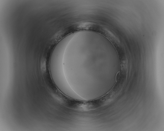 X0000111480504200907210951