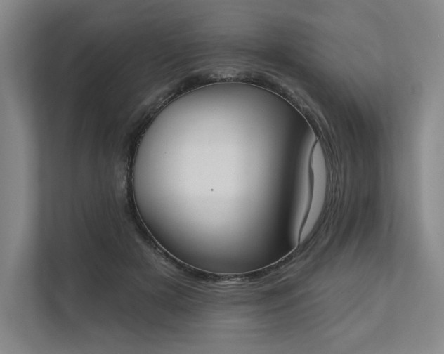X0000111480505200907210951