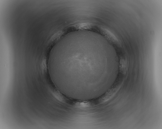 X0000111480506200907210951