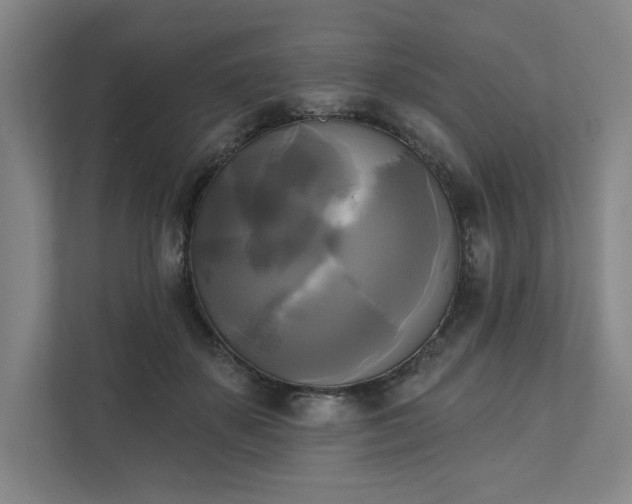 X0000111480507200907210951