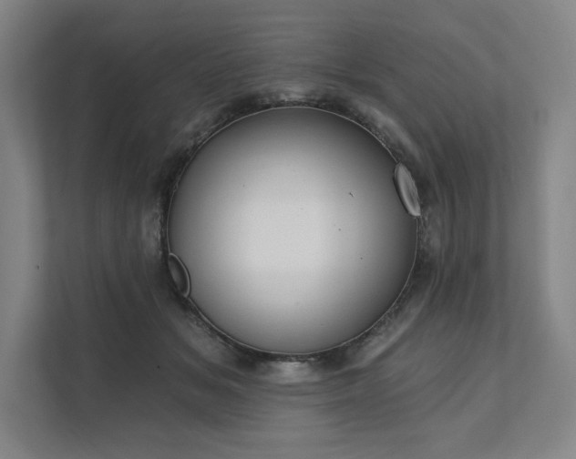 X0000111480509200907210951