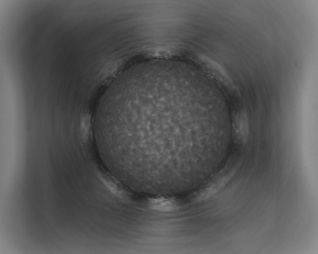 X0000111480511200907210951
