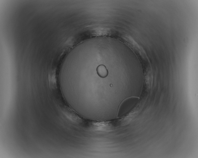 X0000111480516200907210951