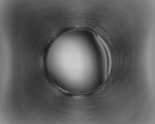X0000111480520200907210951