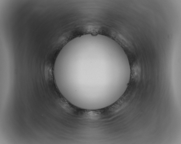 X0000111480522200907210951