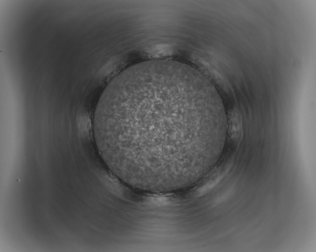 X0000111480523200907210951