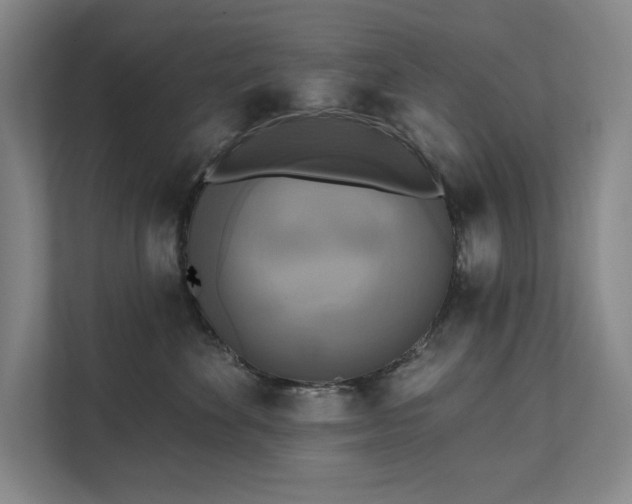 X0000111480524200907210951