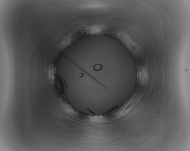 X0000111480525200907210951
