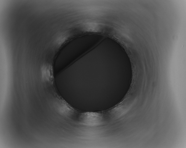 X0000111480528200907210951