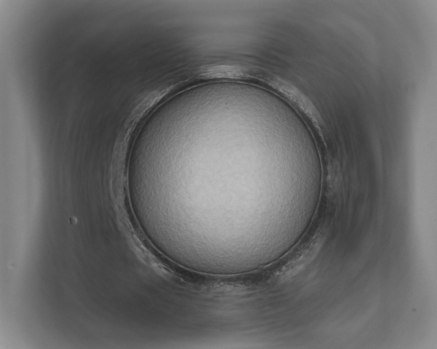 X0000111480529200907210950