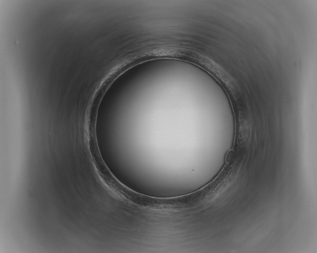 X0000111480530200907210950
