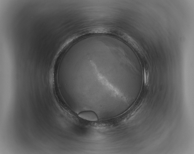 X0000111480531200907210950