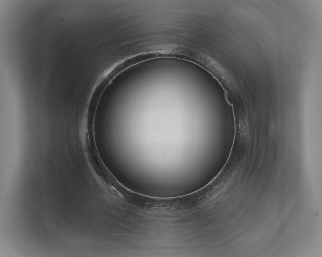 X0000111480532200907210950