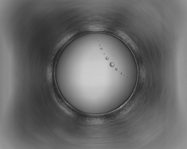 X0000111480533200907210950