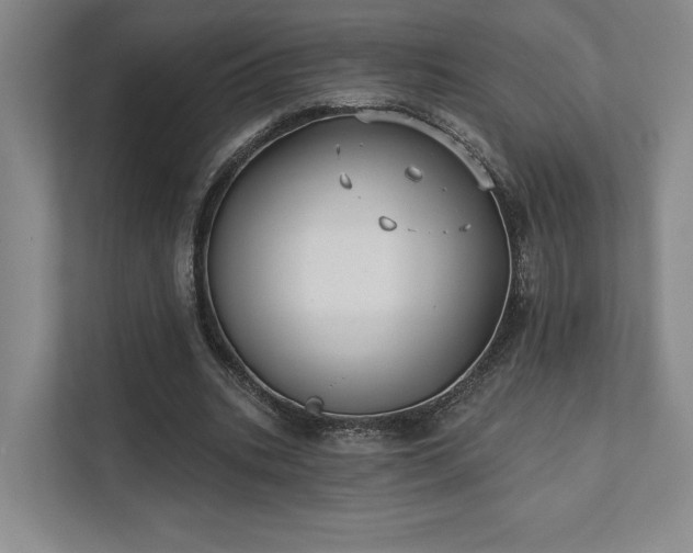 X0000111480535200907210950