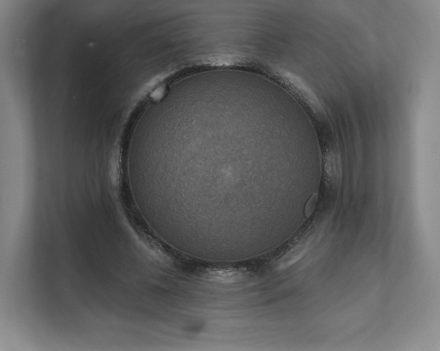 X0000111480540200907210951