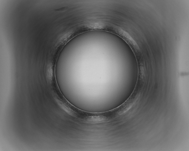X0000111480541200907210951