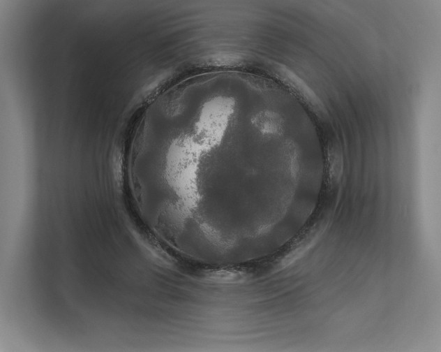 X0000111480542200907210951