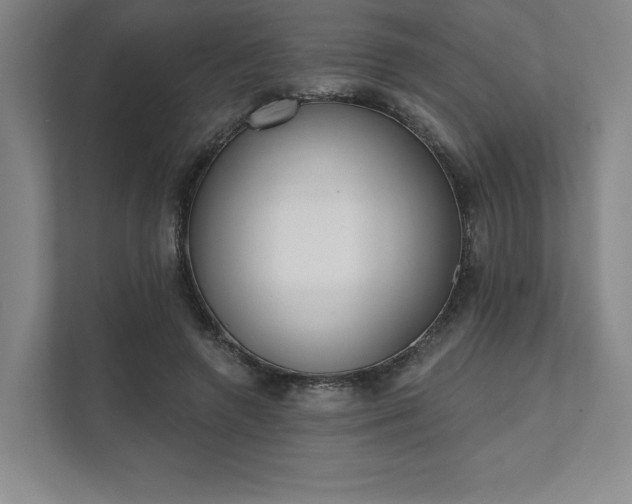 X0000111480546200907210951