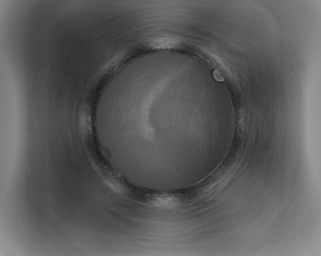 X0000111480547200907210951