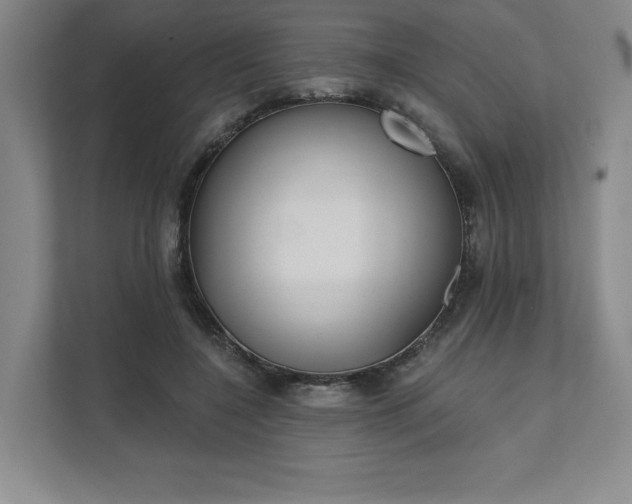 X0000111480548200907210951
