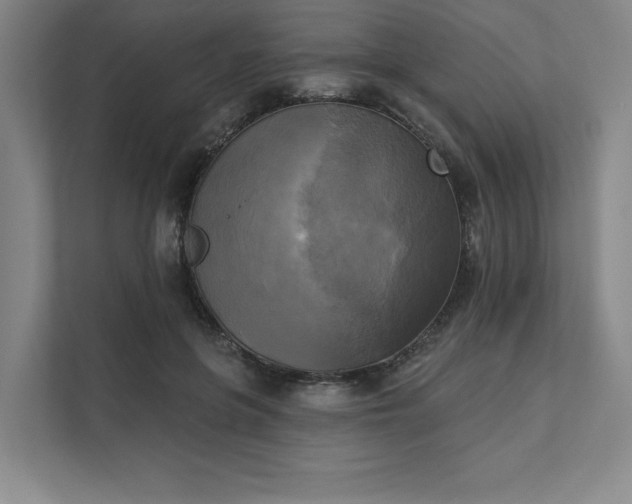 X0000111480551200907210951