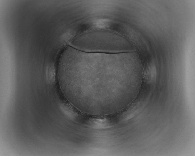 X0000111480552200907210951