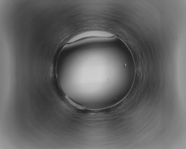 X0000111480556200907210951