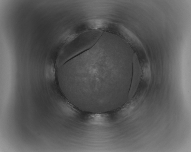 X0000111480558200907210951
