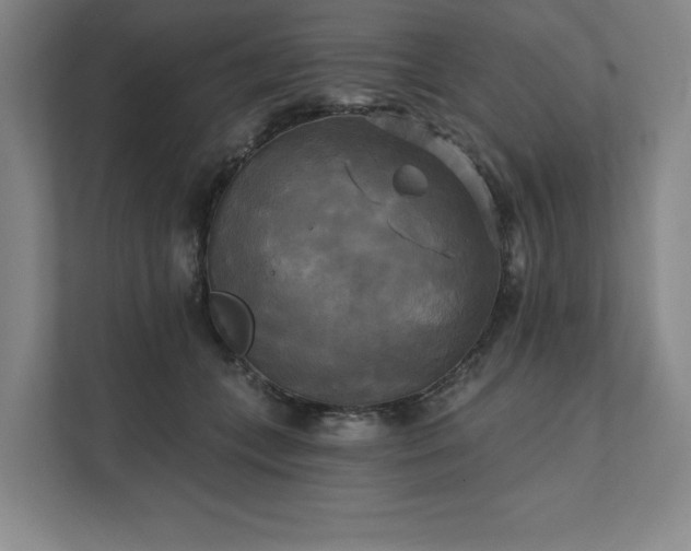 X0000111480559200907210951