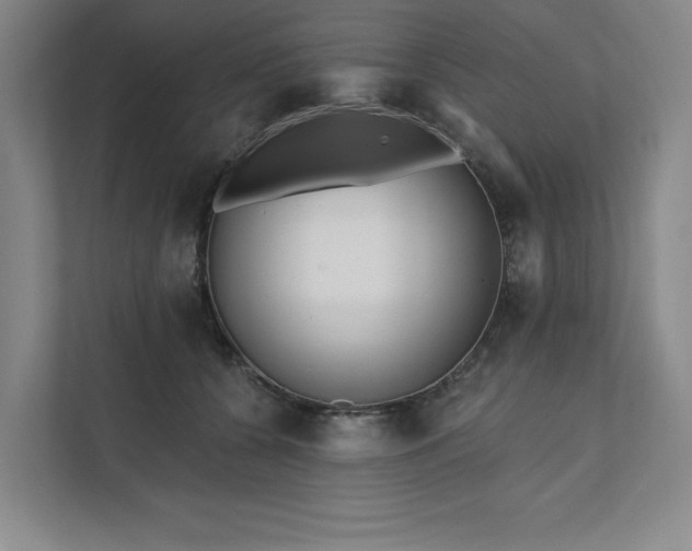X0000111480560200907210951