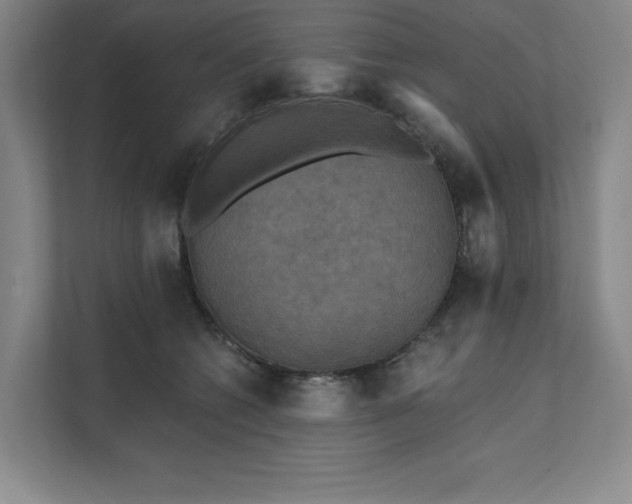 X0000111480562200907210951