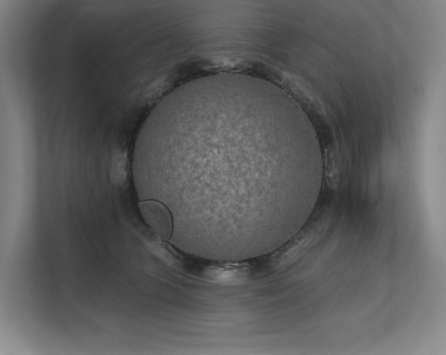 X0000111480563200907210951
