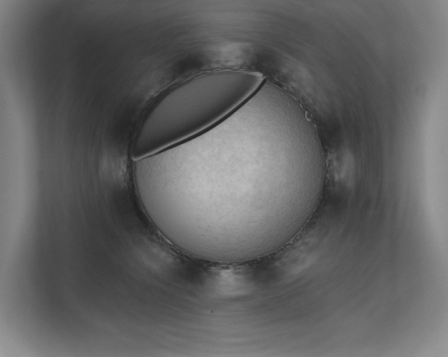 X0000111480564200907210951
