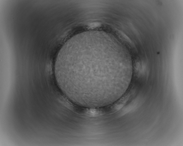X0000111480565200907210951