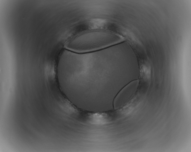 X0000111480566200907210951