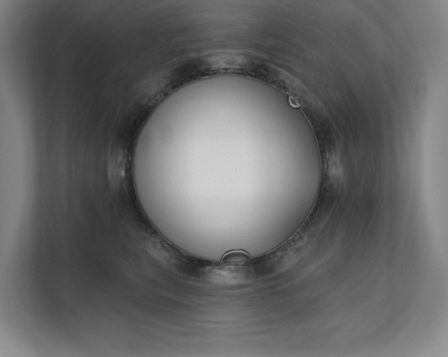 X0000111480567200907210951