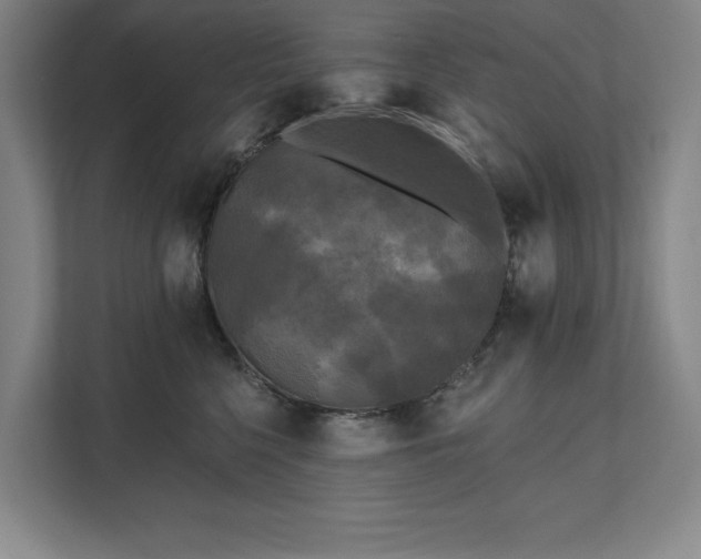 X0000111480568200907210951